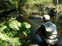 Activités guide de pêche, Stage Spey Cast, guidage saumon, guidage alose, guidage truite, Enjoy Fishing, Ardent Pêche, Pêche et Horizons, Jean Baptiste Vidal