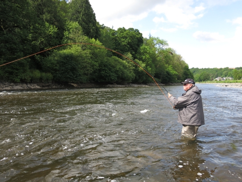 peche du saumon en Bretagne, saumon atlantique en France, meilleures rivières à saumon de Bretagne, guide de pêche au saumon, Jean-Baptiste Vidal guide de pêche à la mouche en Bretagne, Enjoy Fishing, Guide de pêche bretagne