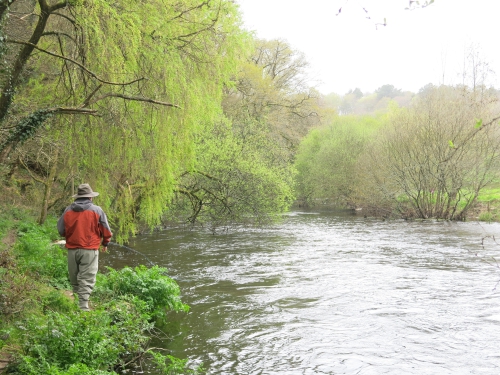 peche du saumon en bretagne,saumon atlantique en france,meilleures rivières à saumon de bretagne,guide de pêche au saumon,jean-baptiste vidal guide de pêche à la mouche en bretagne,enjoy fishing,guide de pêche bretagne