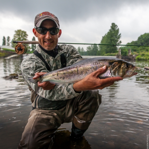 Peche des migrateurs, alose à la mouche, saumon à la mouche en Bretagne, Enjoy Fishing, Jean-Baptiste Vidal guide de pêche à la mouche