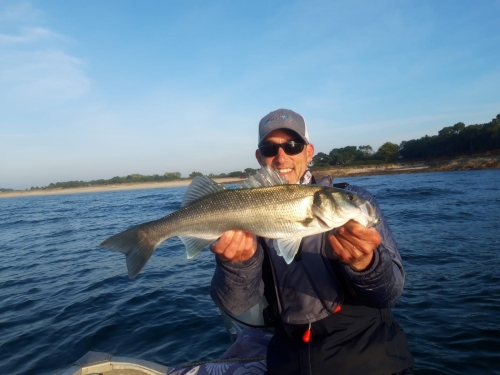 bar à la mouche, pêche du bar, guide pêche mouche bar, gros bar à la mouche, streamer à bar, pêche du bar en bretagne, jean-baptiste Vidal Moniteur-Guide de pêche, Enjoy Fishing,