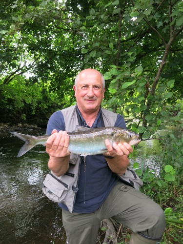 alose,saumon,saison estivale,castillon,peche du saumon en bretagne,alose à vue,enjoy fishing,jean-baptiste vidal