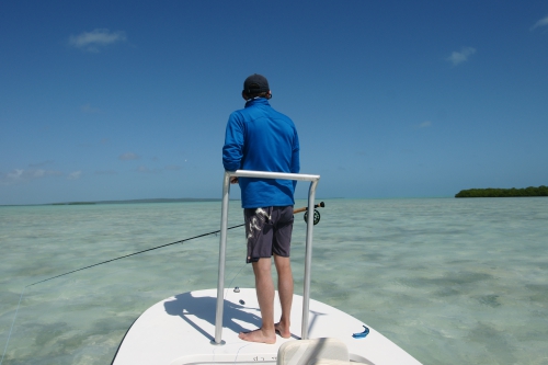 cuba,cayo cruz,avalon,pêche du permit et du tarpon à la mouche,jean-baptiste vidal guide de pêche à la mouche en bretagne