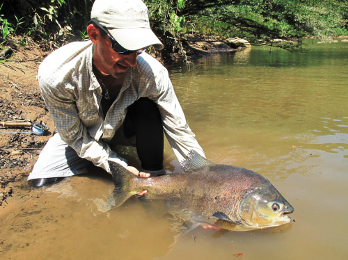 histoire de pêche, dorado, pacu à la mouche, pêche du pacu, gros pacu en sèche, Tsimane lodge, dorado et pacu bolivien, Jean-Baptiste Vidal Moniteur-Guide de pêche à la mouche, Enjoy Fishing