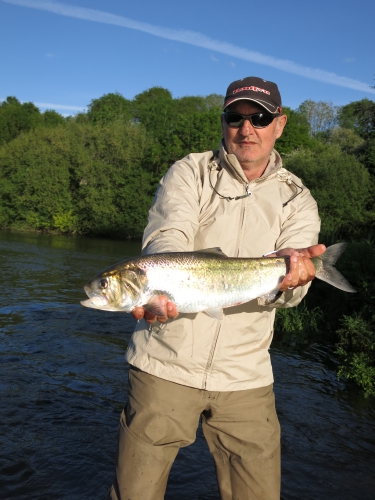 Pêche des migrateurs, pêche du saumon en Bretagne, pêche de l'alose en Bretagne, Jean-Baptiste Vidal guide de pêche, pêche à la mouche en Bretagne, Alose, saumon, Enjoy Fishing