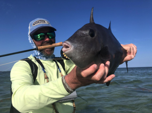 pêche du permit,permit à la mouche,voyage en diy au mexique,pêche du permit au mexique,la fièvre du permit,pêche à la mouche exotique,jean-baptiste vidal moniteur-guide de pêche,enjoy fishing,truites&cie