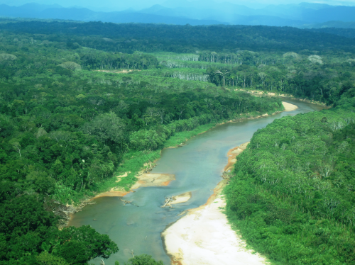 histoire de pêche, dorado, pacu à la mouche, pêche du pacu, gros pacu en sèche, Tsimane lodge, dorado et pacu bolivien, Jean-Baptiste Vidal Moniteur-Guide de pêche à la mouche, Enjoy Fishing