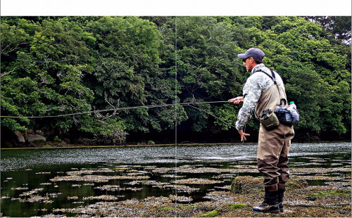 bar à la mouche,peche du bar,bar à vue,bar en estuaire,gros bars à la mouche,jean-baptiste vidal guide de pêche,enjoy fishing