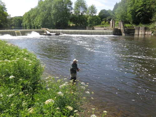 peche du saumon en Bretagne, saumon atlantique en France, meilleures rivières à saumon de Bretagne, guide de pêche au saumon, Jean-Baptiste Vidal guide de pêche à la mouche en Bretagne, Enjoy Fishing, Guide de pêche bretagne