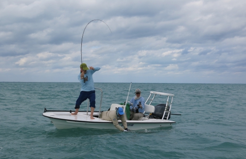 cuba,cayo santa maria,les jardins du roi,pêche du tarpon à la mouche,hosted trip jean-baptiste vidal guide de pêche,enjoy fishing