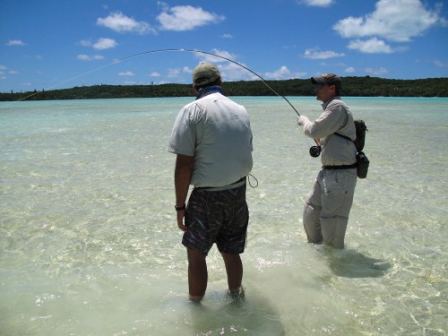 Nouvelle calédonie, bonefish, bonefish trophée, bonefishing, peche a la mouche, saltwater, enjoyfishing