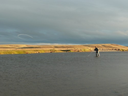 truite de mer, sea trout fishing, pêche a la mouche, fly fishing, Argentina, Argentine, Rio Grande, Rio Irigoyen, Rio Gallegos