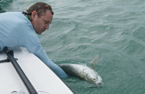 cuba,cayo santa maria,les jardins du roi,pêche du tarpon à la mouche,hosted trip jean-baptiste vidal guide de pêche,enjoy fishing