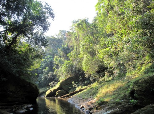 tsimane lodge, dorado, bolivie, pacu, pêche a la mouche, jungle bolivienne, untamed angling, enjoyfishing