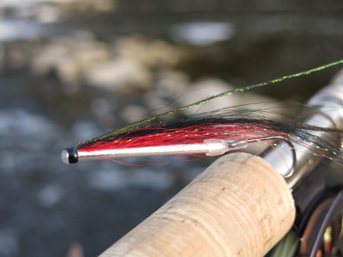 Bilan de la saison saumon en bretagne, saumon à la mouche, saumon en Bretagne, bilan de la saison migrateur, alose, saumon, truite de mer, Enjoy Fishing, Jean Baptiste Vidal