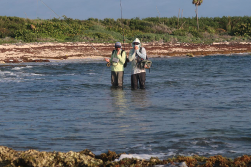 pêche du permit,permit à la mouche,voyage en diy au mexique,pêche du permit au mexique,la fièvre du permit,pêche à la mouche exotique,jean-baptiste vidal moniteur-guide de pêche,enjoy fishing,truites&cie