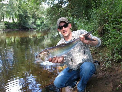 alsoe, saumon, saison estivale, castillon, peche du saumon en bretagne, alose à vue, enjoy fishing, jean-baptiste vidal