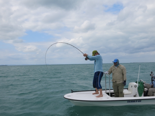 cuba,cayo santa maria,les jardins du roi,pêche du tarpon à la mouche,hosted trip jean-baptiste vidal guide de pêche,enjoy fishing