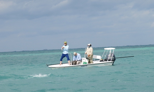 cuba,cayo santa maria,les jardins du roi,pêche du tarpon à la mouche,hosted trip jean-baptiste vidal guide de pêche,enjoy fishing