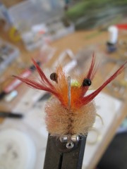 Mexique, Ascencion Bay, Punta Allen, permit, bonefish, tarpon, snook, peche a la mouche, fly fishing, Mexico