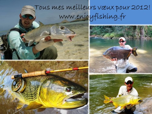 Voeux 2012.jpg