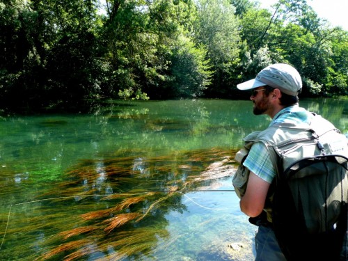 ombre,truites,ïle sur la sorgues,nymphe à vue,peche a la mouche,enjoyfishing