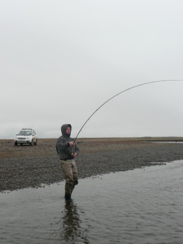 rio grande,truite de mer,nervous waters,sea trout,argentine,argentina,kau tapen lodge,enjoy fishing