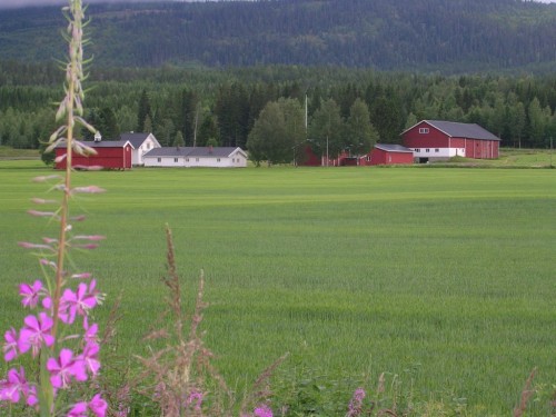 DSCN5903.JPG