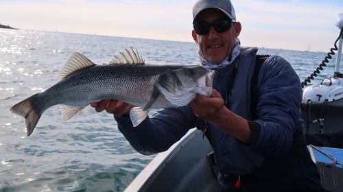 bar à la mouche, pêche du bar, guide pêche mouche bar, gros bar à la mouche, streamer à bar, pêche du bar en bretagne, jean-baptiste Vidal Moniteur-Guide de pêche, Enjoy Fishing,