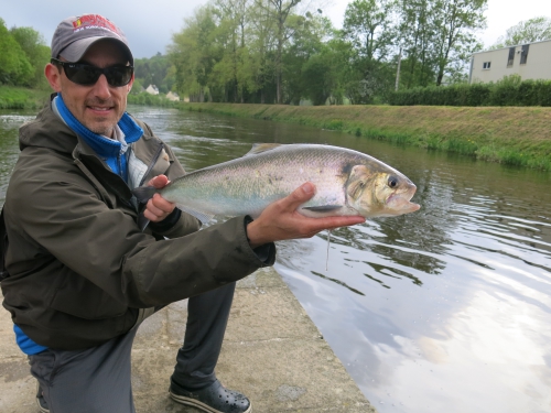 Pêche des migrateurs, pêche du saumon en Bretagne, pêche de l'alose en Bretagne, Jean-Baptiste Vidal guide de pêche, pêche à la mouche en Bretagne, Alose, saumon, Enjoy Fishing