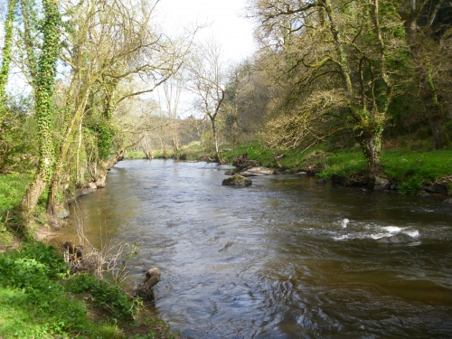 pêche du saumon à la mouche,réglementation bretagne,saumon en bretagne,saumon à la mouche,guide de pêche au saumon en bretagne,guide de pêche à la mouche au saumon,jean-baptiste vidal guide de pêche au saumon