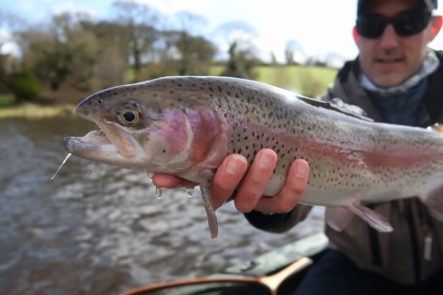 pêche en reservoir,réservoir mouche,pêche à la mouche en bretagne,guide de pêche en bretagne,réservoir st conan,jean-baptiste vidal moniteur-guide de pêche,enjoy fishing