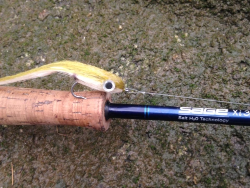 bar à vue à la mouche,bar à la mouche,bar à vue,pêche du bar,bar en estuaire,jean-baptiste vidal guide de pêche à la mouche,enjoy fishing