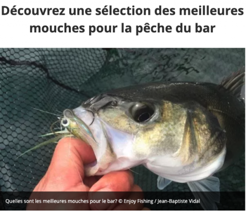 mouches pour le bar, bar à la mouche, mouches à bar, meilleures mouches pour le bar, peche du bar