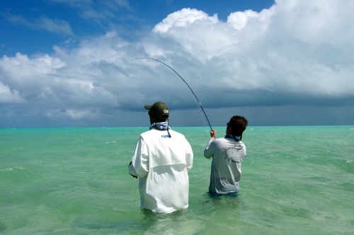 Cuba, Cayo Cruz, Avalon, pêche du permit et du tarpon, Jean-Baptiste Vidal guide de pêche à la mouche en Bretagne