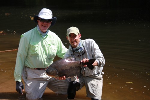 tsimane lodge, dorado, bolivie, pacu, pêche a la mouche, jungle bolivienne, untamed angling, enjoyfishing