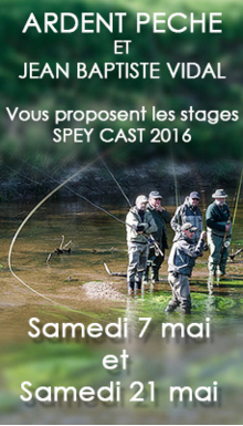 stage Spey cast Bretagne, Stage spey cast avec Ardent Pêche, stages d'initiation et de perfectionnement aux techniques modernes du Spey Cast, Jean-Baptiste Vidal guide de pêche