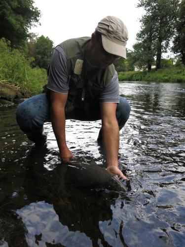 pêche du saumon à la mouche,réglementation bretagne 2017,saumon en bretagne,saumon à la mouche,guide de pêche au saumon en bretagne,guide de pêche à la mouche au saumon,jean-baptiste vidal guide de pêche au saumon