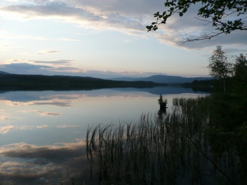 P1080341.JPG